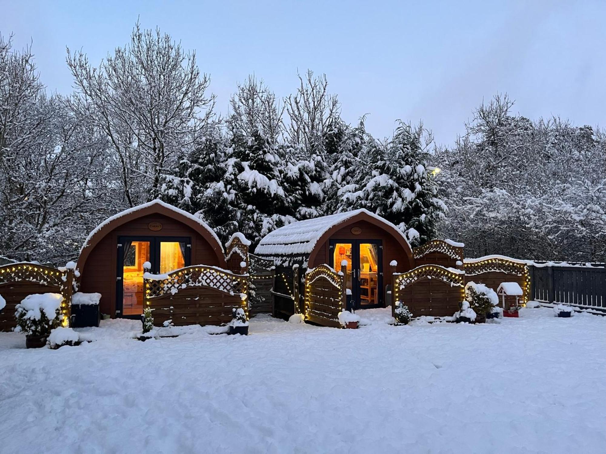 Conifer Cabins Fort William Esterno foto